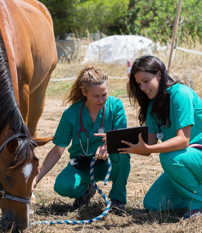 vet tech students