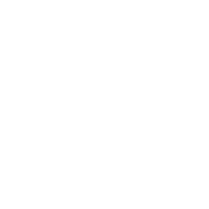 icon 1 2 flag (1)